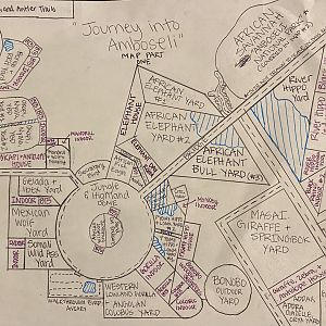 Discovery Hills Zoo - “Journey into Amboseli: from Jungles to Savannas” Part 1