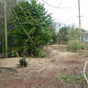 The former Brookside Aviary, February 2022