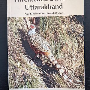 Threatened Birds of Uttarakhand