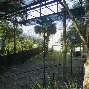 Jan. 2022 - Africa Loop - Giraffe Overlook - Klipspringer Exhibit (unsigned)