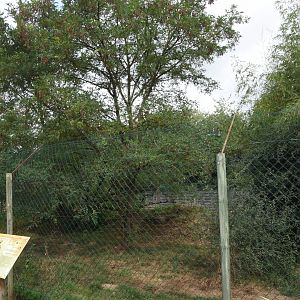 Cheetah enclosure