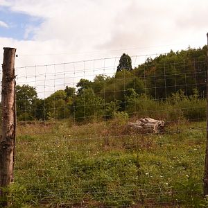 Part of polar bear enclosure