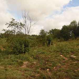 Part of polar bear enclosure