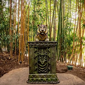 Tull Family Tiger Trail