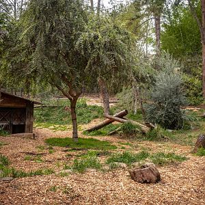 Tull Family Tiger Trail