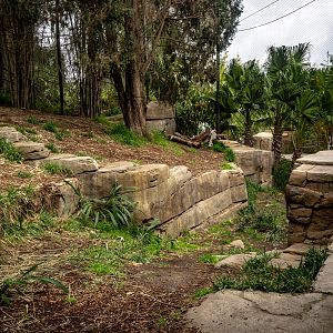 Tull Family Tiger Trail