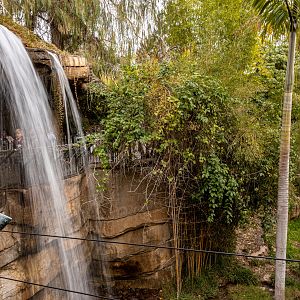 Tull Family Tiger Trail