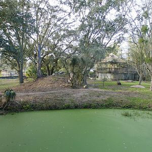 Jan. 2022 - Africa Loop - Lion Exhibit - Third View