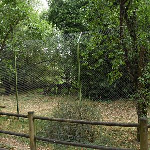 Leopard enclosure