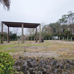 Jan. 2022 - Africa Loop - African Elephant Exhibit - Main Yard