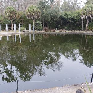 Jan. 2022 - Africa Loop - African Elephant Exhibit - 275,000 Gallon Pool