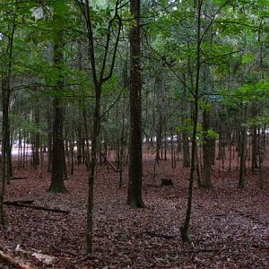 Private Facility - Indian Rhino Enclosure
