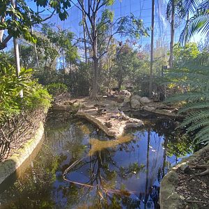West African Black Crowned Crane Habitat