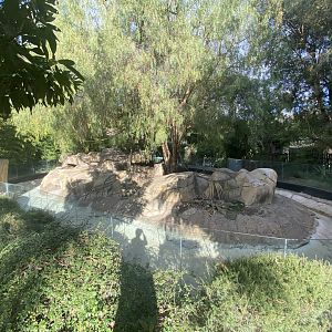 Former Coatimundi Habitat