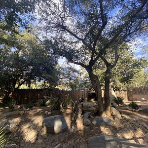 Chacoan Peccary Habitat