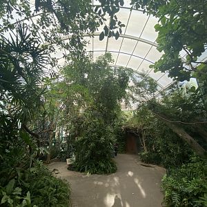 Hidden Jungle Walkthrough Aviary