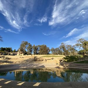 African Elephant Yard #1 - Elephant Valley