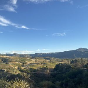 View of the Field Habitats from Condor Ridge
