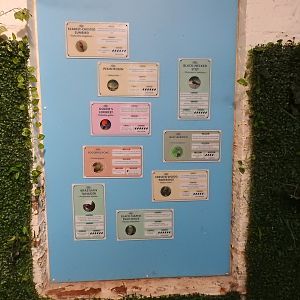 Blackburn Pavilion Walkthrough Signs