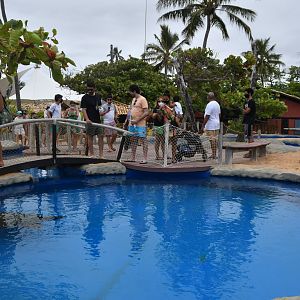 Projeto Tamar Praia do Forte - Grounds