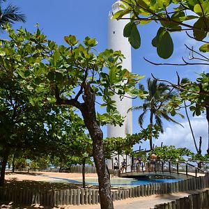 Projeto Tamar Praia do Forte - Grounds