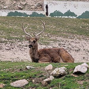 Barashinga -TerraNatura Benidorm (2022)