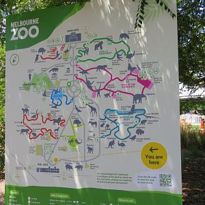 Melbourne Zoo Map 2022