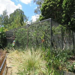 New Aviaries in Australia Precinct