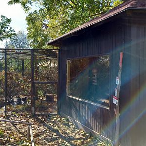Waterfowl - Honeyeater aviary