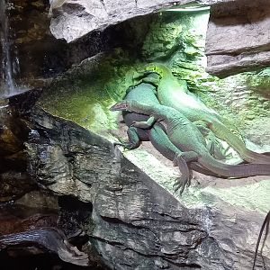 Mertens water monitors