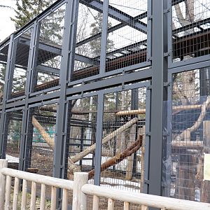 Maruyama Zoo Snow Leopard exhibit