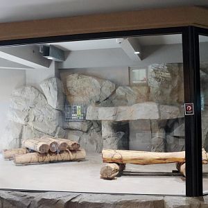 Maruyama Zoo Snow Leopard exhibit