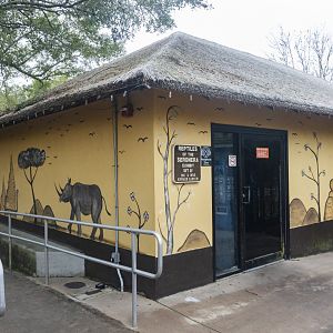 Jan. 2022 - Africa Loop - Reptiles of the Seronera