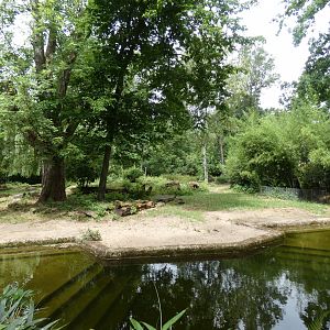 Brazilian tapir and White-nosed coati outdoor enclosure