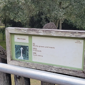 Jan. 2022 - Africa Loop - Plains of East Africa - Blue Crane Sign