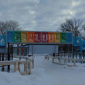 Goat Bridge, Aunt's Sally's Farm