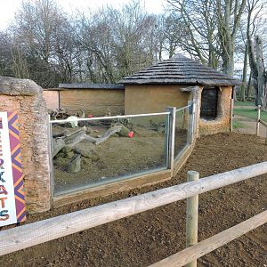 An example of why we cant have nice things