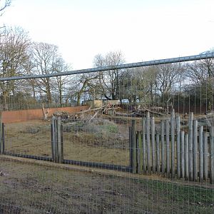 Work On Meerkat Enclosure