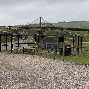 Demoiselle crane and mixed ibis exhibit 060222