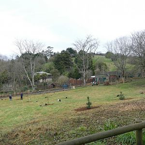 Tree planting, February 2022