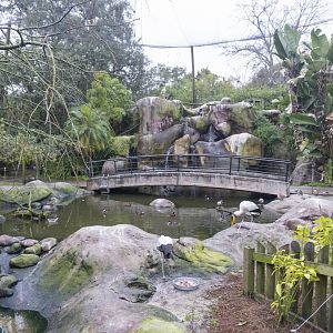 Jan. 2022 - Africa Loop - River Valley Aviary (11 Species)