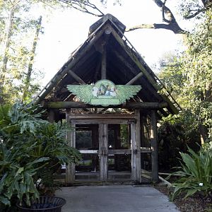 Jan. 2022 - Africa Loop - River Valley Aviary (11 Species)