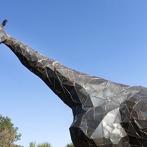 Jan. 2022 - Africa Loop - Giraffe Statue