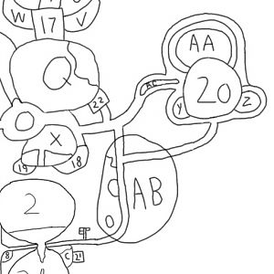 The Cat House, Otter Playground, And Wings Of The Amazon