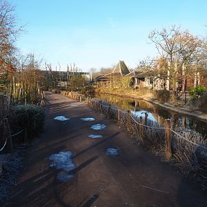 View in the Asian area between Bactrian camel and wisent exhibits and koi pond, 2022-02-12