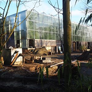 Construction update orangutan project, 2022-02-12