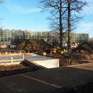 Construction update orangutan project - concrete slab for new viewing area?, 2022-02-12