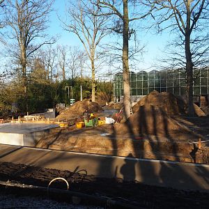 Construction update orangutan project, 2022-02-12