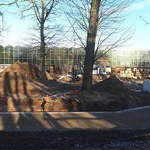 Construction update orangutan project, 2022-02-12