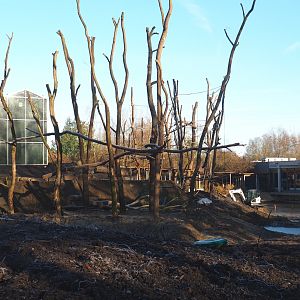 Construction update orangutan project, 2022-02-12